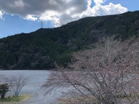 秋葉神社 (3).jpg